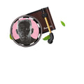Album CD Car Air Freshener